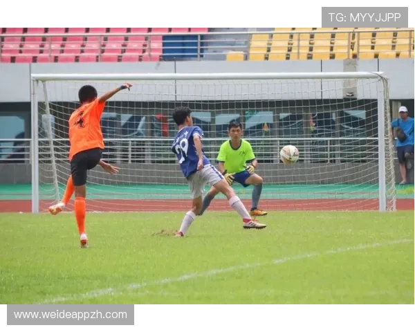 江南体育中文站全面报道最新体育赛事动态与精彩瞬间