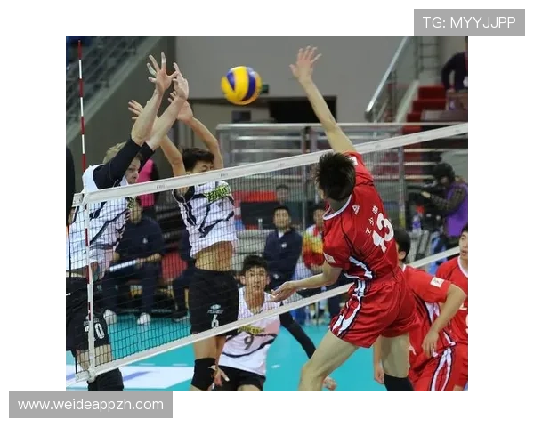 海星体育中文站开展体育数据分析，提供专业的比赛数据和战术解析