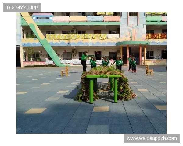 如何选择适合自己的ld体育游戏账号注册与登录流程全攻略