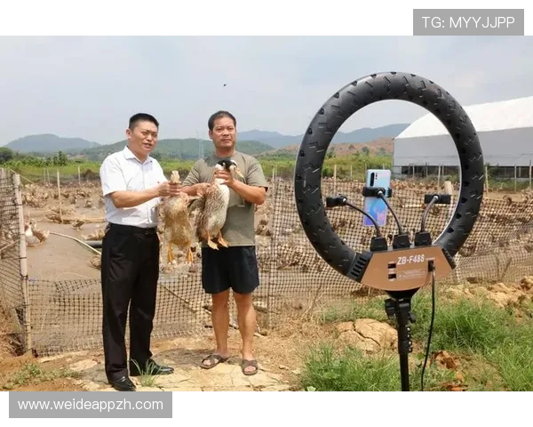 顶盛体育入口全面升级助力用户享受更便捷的体育赛事直播服务